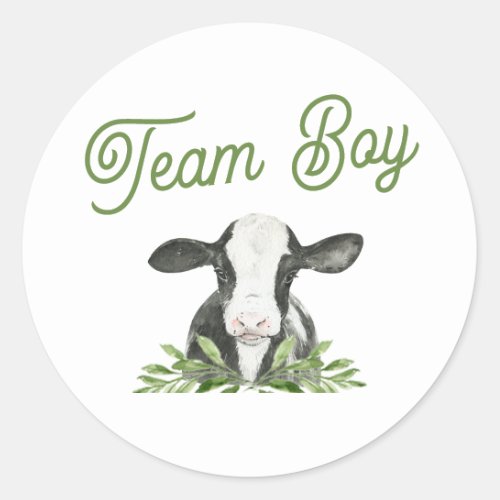 Team Boy Cow Farm Gender Reveal Sticker