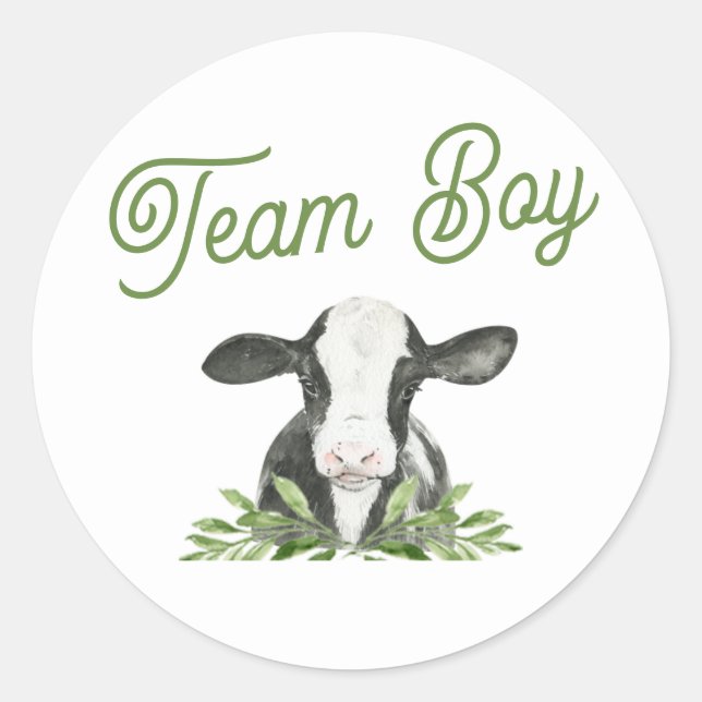 Team Boy Cow Farm Gender Reveal Sticker (Front)
