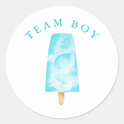Team Boy Gender Reveal Party Vote Classic Round Sticker