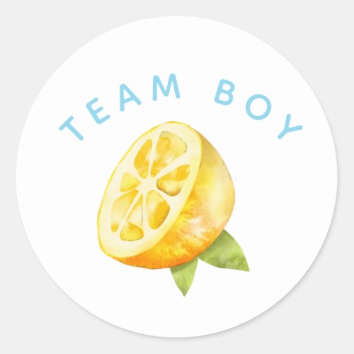 Team Boy Gender Reveal Party Vote Lemon Classic Round Sticker