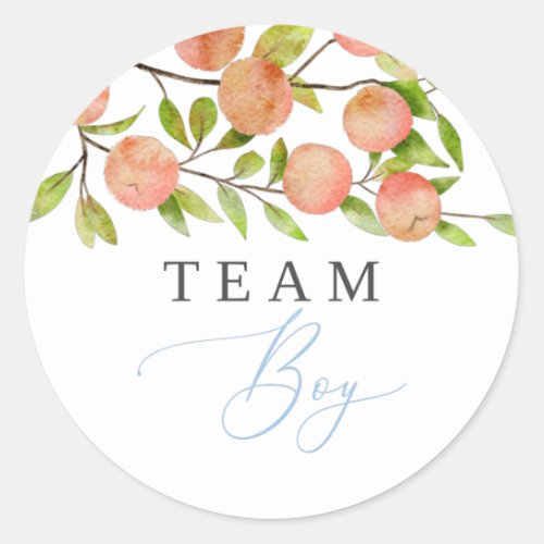 Team Boy Gender Reveal Party Vote Peach Classic Round Sticker