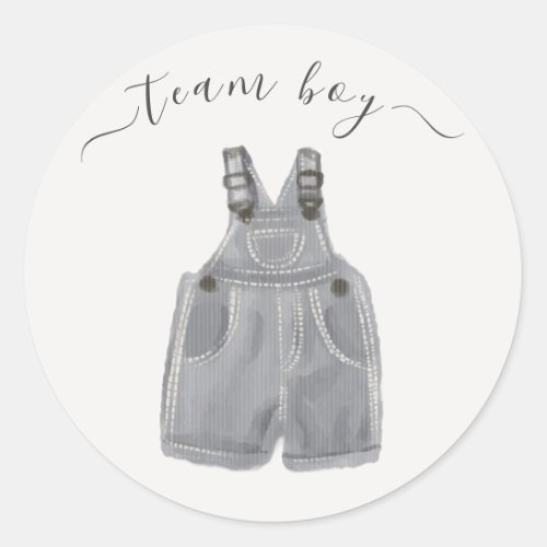 Team Boy He or She Gender Reveal Classic Round Sticker