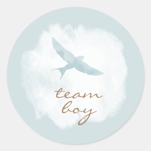 Team Boy Modern Gender Revel Birds Classic Round Sticker