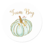 Team Boy Pastel Pumpkin Gender Reveal game sticker