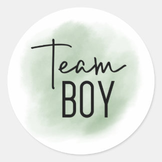 Team Boy Sage Green Gender Reveal Sticker