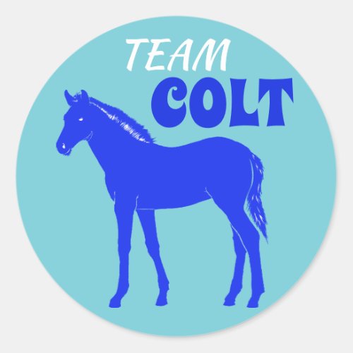 Team Colt Colt Gender Reveal Classic Round Sticker
