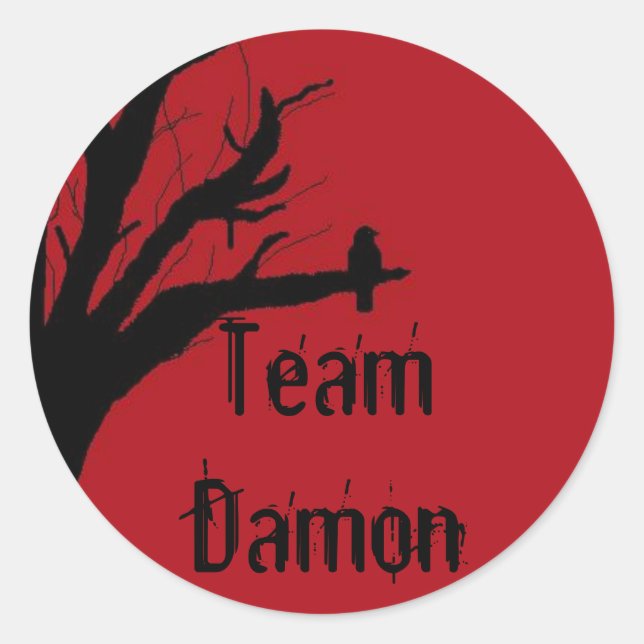 Team Damon Vengeful Crow Classic Round Sticker (Front)