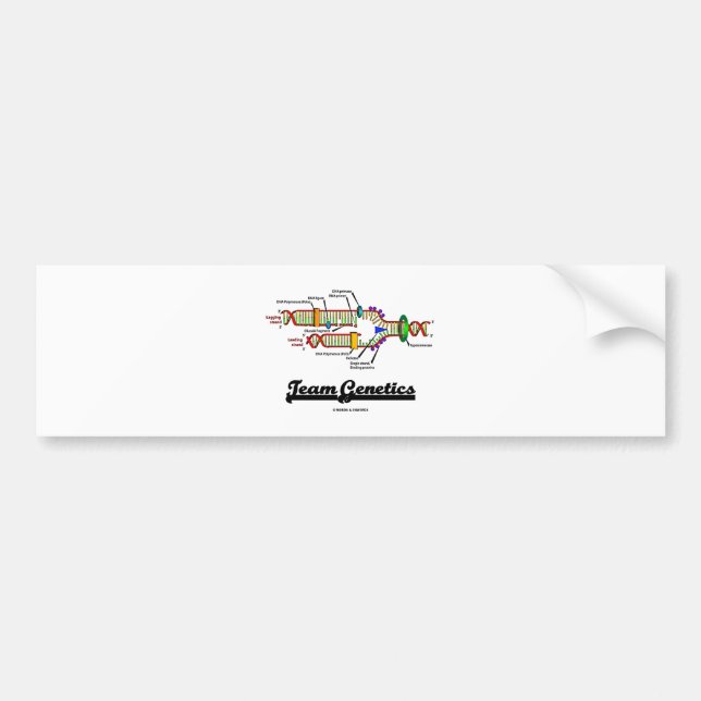 Team Genetics (DNA Replication) Bumper Sticker (Front)