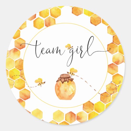 Team Girl Bee Theme Gender Reveal Stickers