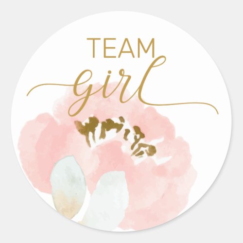 Team Girl gender reveal party stickers