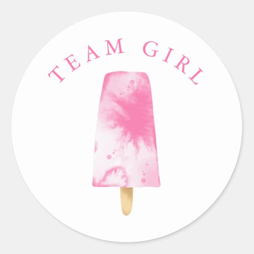 Team Girl Gender Reveal Party Vote Classic Round Sticker