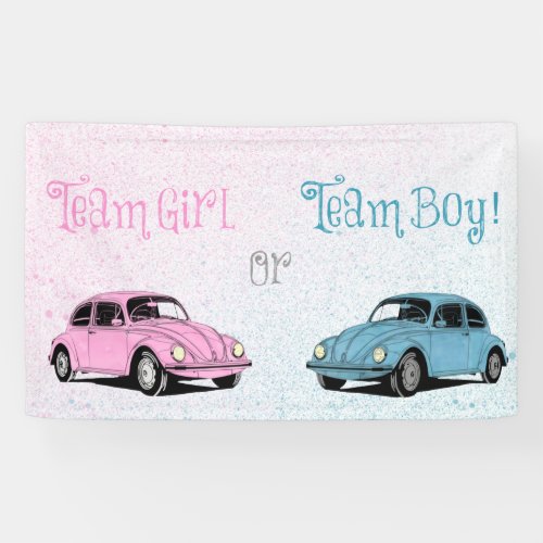 Team Girl Team Boy Gender Reveal  Banner