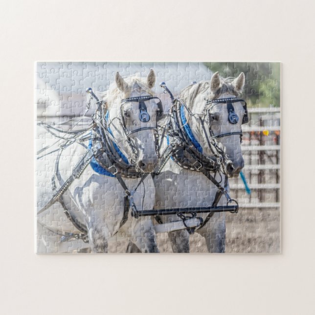 Team Grey Perchon Draft Horses Jigsaw Puzzle (Horizontal)