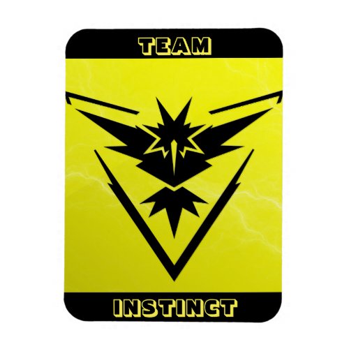 Team Instinct POGO Raid Car Magnet