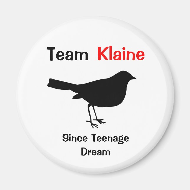 Team Klaine Magnet (Front)