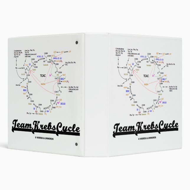 Team Krebs Cycle Citric Acid Cycle TCAC 3 Ring Binder (Background)