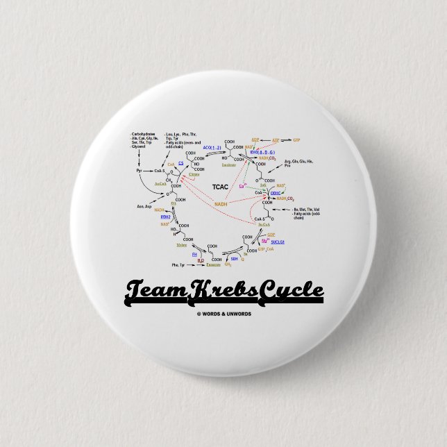 Team Krebs Cycle (Citric Acid Cycle - TCAC) Button (Front)