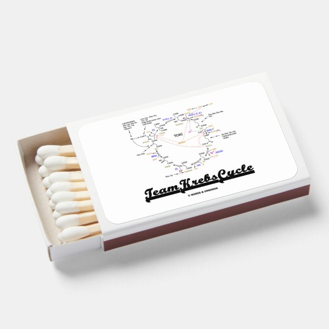 Team Krebs Cycle Citric Acid Cycle TCAC Matchboxes (Front Open)