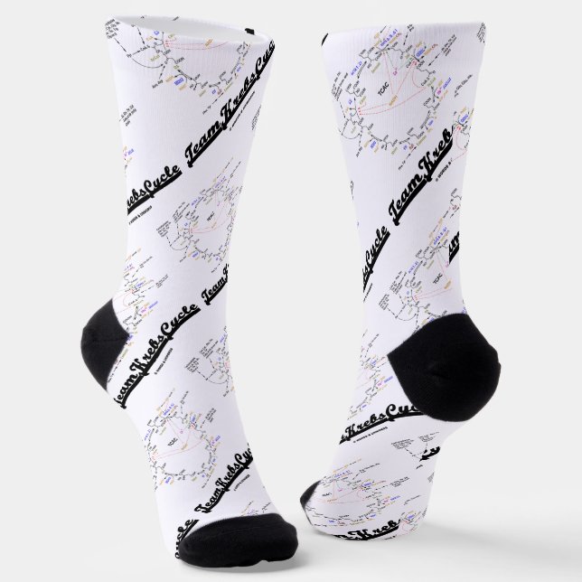 Team Krebs Cycle Citric Acid Cycle TCAC Socks (Angled)