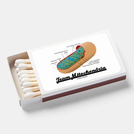 Team Mitochondria Mitochondrion Humor Matchboxes