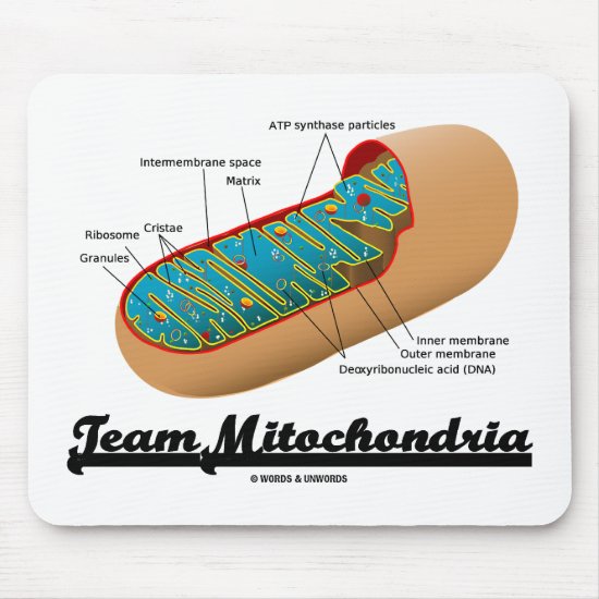 Team Mitochondria Mitochondrion Humor Mouse Pad