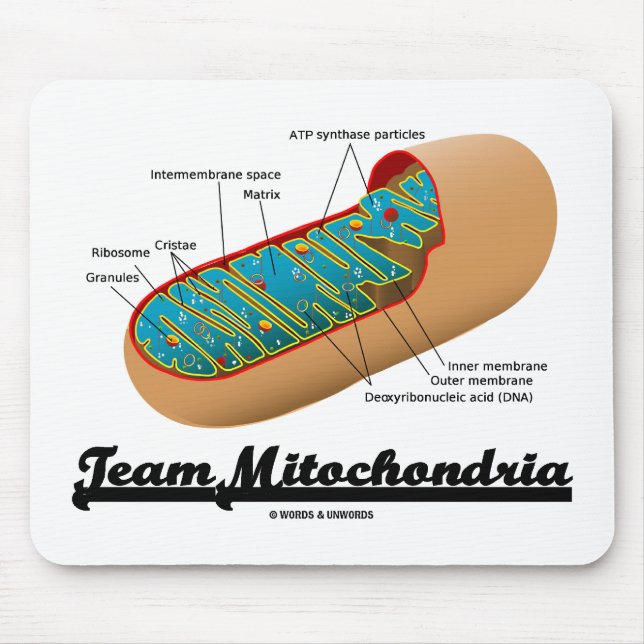 Team Mitochondria Mitochondrion Humor Mouse Pad (Front)