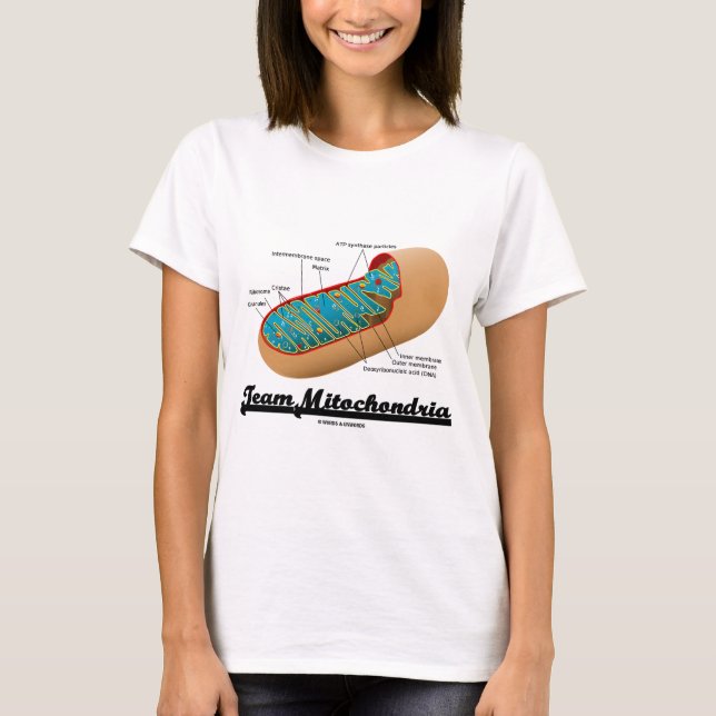 Team Mitochondria (Mitochondrion Humor) T-Shirt (Front)