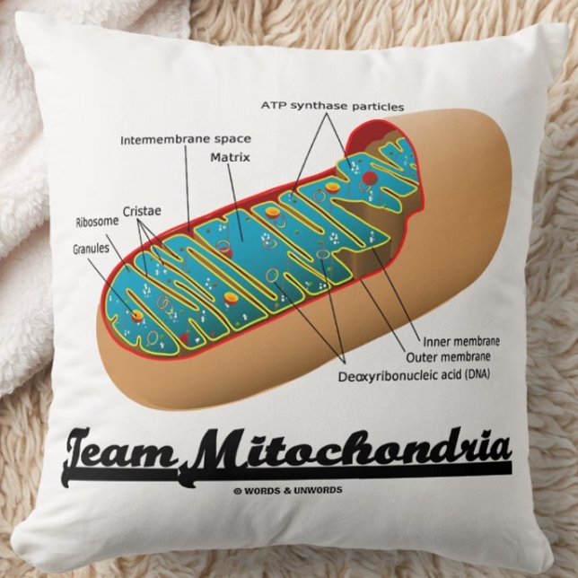 Team Mitochondria (Mitochondrion Humor) Throw Pillow (Team Mitochondria throw pillow for any exerciser who knows that mitochondria power ourselves!)