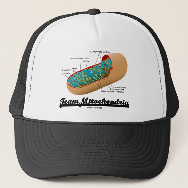 Team Mitochondria (Mitochondrion Humor) Trucker Hat (Front)