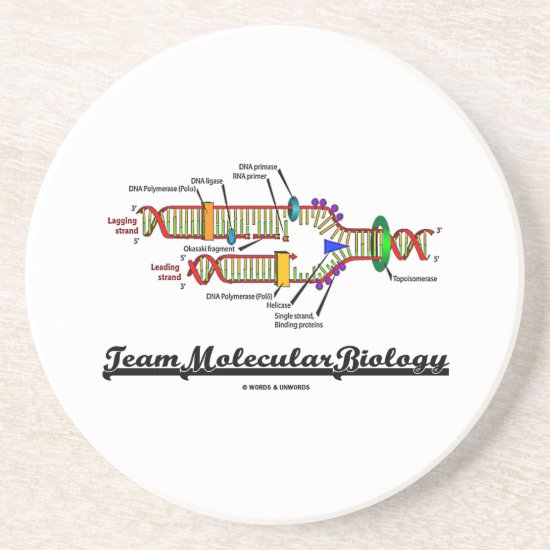 Team Molecular Biology (DNA Replication) Drink Coaster