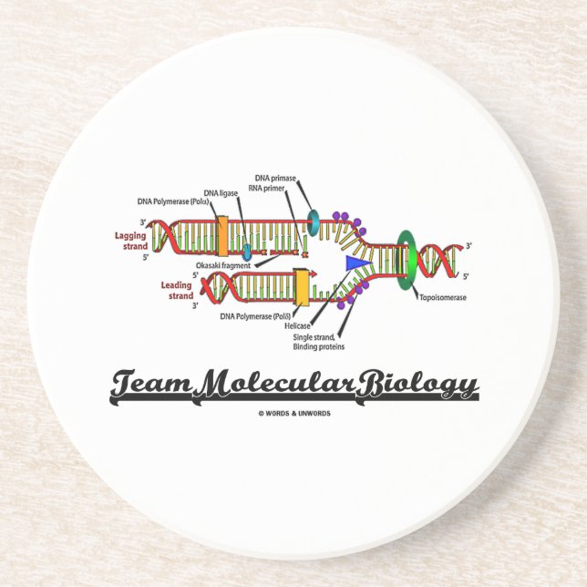 Team Molecular Biology (DNA Replication) Drink Coaster (Front)
