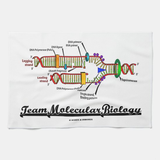 Team Molecular Biology (DNA Replication) Kitchen Towel