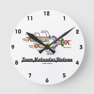 Team Molecular Biology (DNA Replication) Round Clock