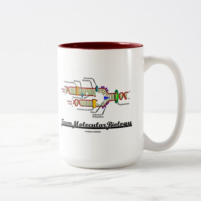 Team Molecular Biology (DNA Replication) Two-Tone Coffee Mug (Right)