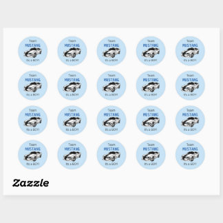 Team Mustang Stickers for Gender Reveal 