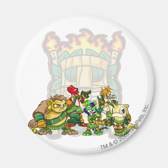 Team Mystery Island Group Magnet (Front)