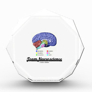 Team Neuroscience (Brain Anatomy Attitude) Acrylic Award