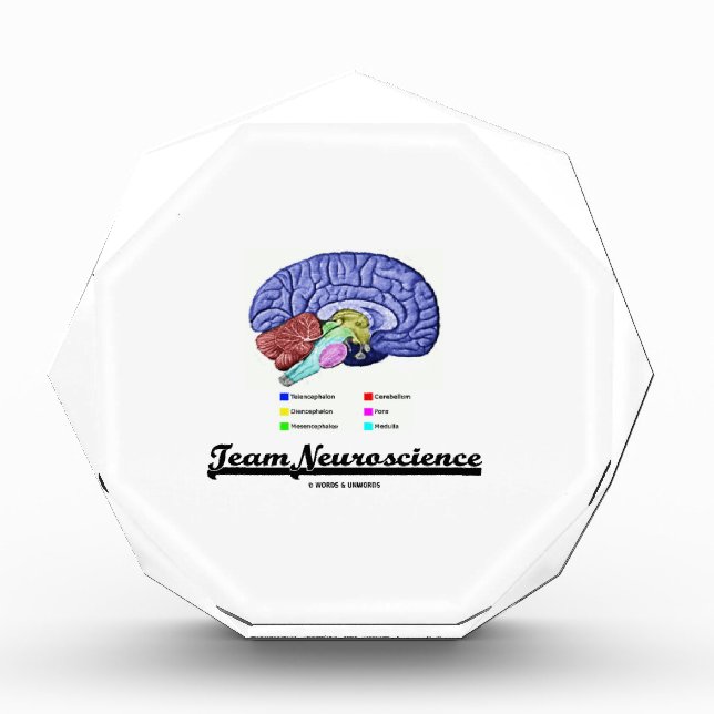 Team Neuroscience (Brain Anatomy Attitude) Acrylic Award (Front)