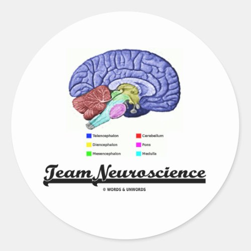 Team Neuroscience Brain Anatomy Attitude Classic Round Sticker