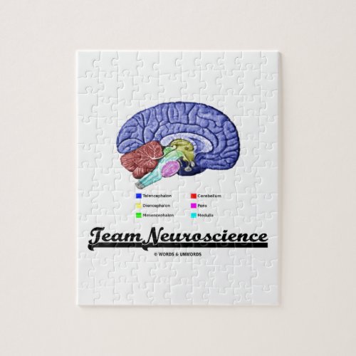 Team Neuroscience Brain Anatomy Attitude Jigsaw Puzzle