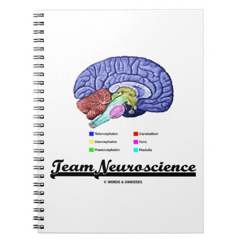 Team Neuroscience Brain Anatomy Attitude Notebook