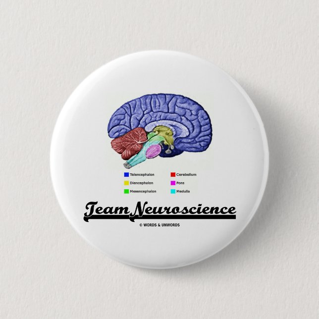 Team Neuroscience (Brain Anatomy Attitude) Pinback Button (Front)