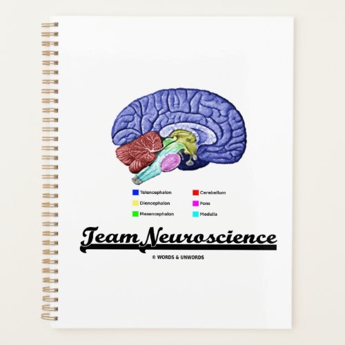 Team Neuroscience Brain Anatomy Attitude Planner