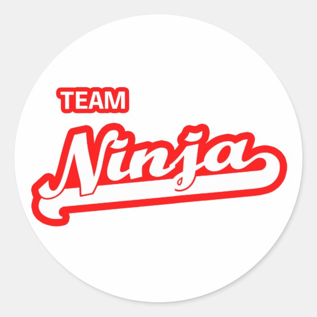 Team Ninja Classic Round Sticker (Front)