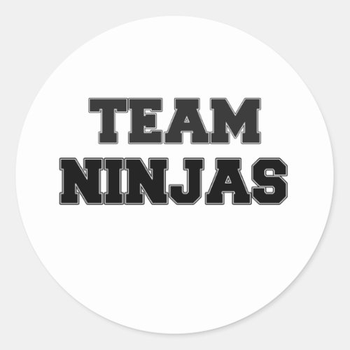 Team Ninjas Classic Round Sticker