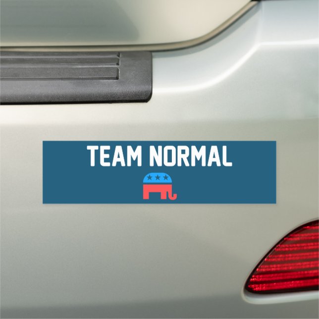 TEAM NORMAL  CAR MAGNET (In Situ)