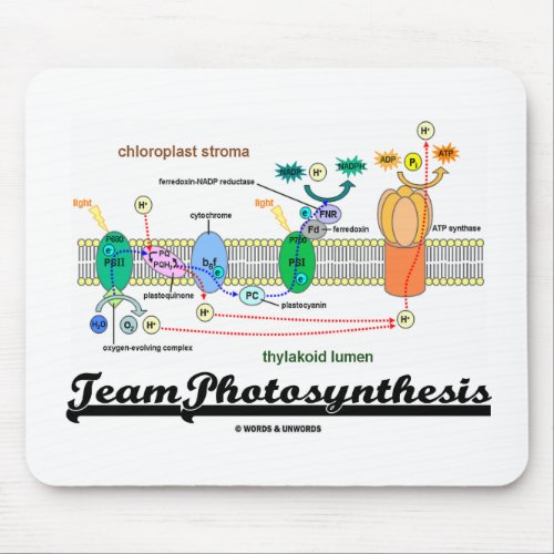 Team Photosynthesis Light_Dependent Reactions Mouse Pad