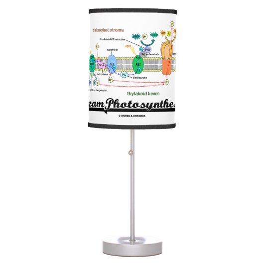 Team Photosynthesis Light-Dependent Reactions Table Lamp (Front)