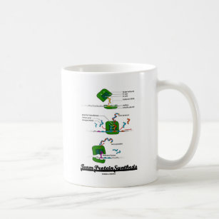 https://rlv.zcache.com/team_protein_synthesis_biology_coffee_mug-r73eaba9a31e64bd6a10bee7a9557b614_x7jgr_8byvr_307.jpg