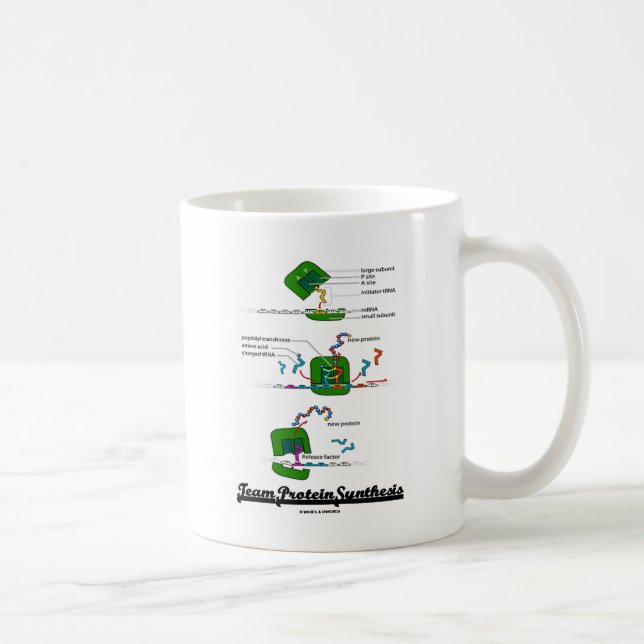 Team Protein Synthesis Coffee Mug (Right)